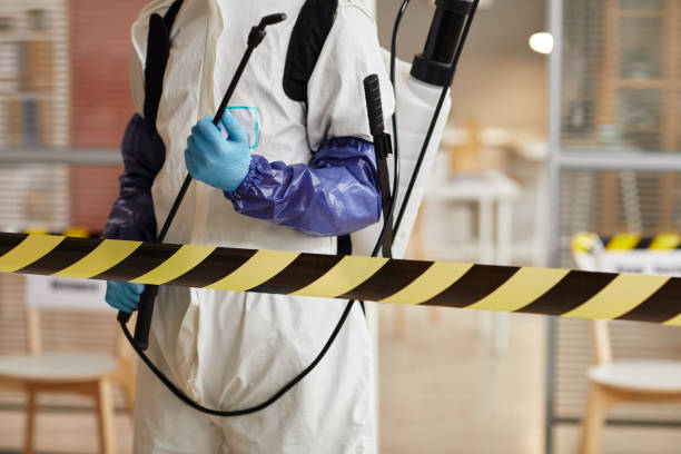 Professional Odor Removal technician working in Linwood, PA